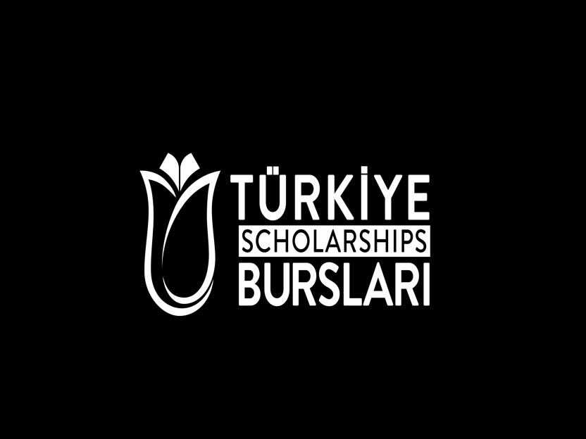 essay for turkey scholarship